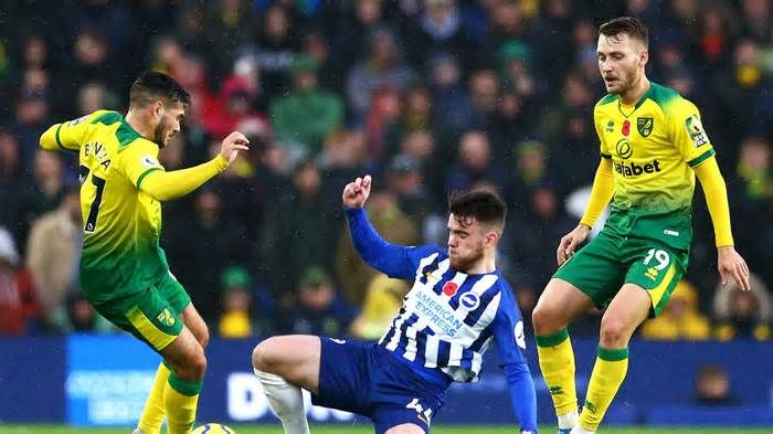 Highlight trận đấu Norwich City vs Brighton &amp; Hove Albion ngày 16/10 | Xem lại trận đấu